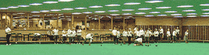 Link to MidGlos IBC Website